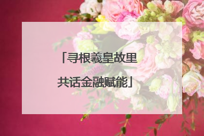 寻根羲皇故里 共话金融赋能