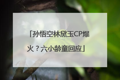 孙悟空林黛玉CP爆火？六小龄童回应
