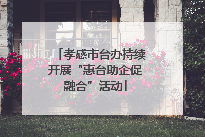 孝感市台办持续开展“惠台助企促融合”活动