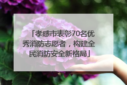 孝感市表彰70名优秀消防志愿者，构建全民消防安全新格局