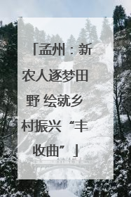 孟州：新农人逐梦田野 绘就乡村振兴“丰收曲”