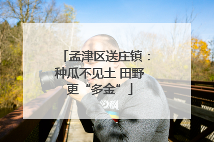 孟津区送庄镇：种瓜不见土 田野更“多金”