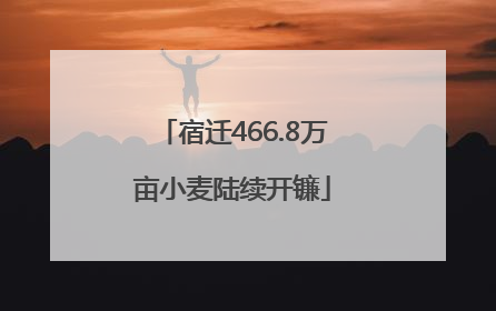 宿迁466.8万亩小麦陆续开镰