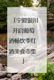 宁夏银川 开启葡萄酒畅饮季红酒美食市集
