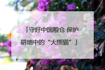 守好中国粮仓 保护耕地中的“大熊猫”
