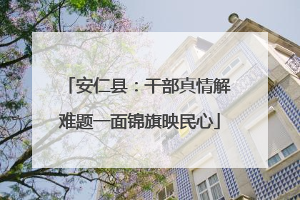 安仁县：干部真情解难题一面锦旗映民心
