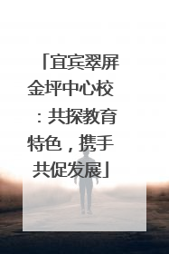 宜宾翠屏金坪中心校：共探教育特色，携手共促发展