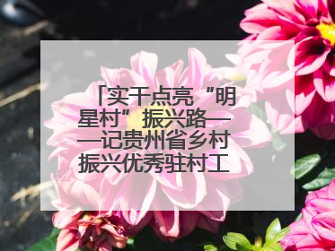 实干点亮“明星村”振兴路——记贵州省乡村振兴优秀驻村工作队员王培欢