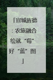 宣城旌德：农旅融合绘就“莓”好“蓝”图