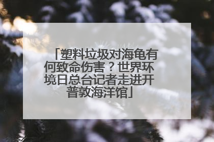 塑料垃圾对海龟有何致命伤害？世界环境日总台记者走进开普敦海洋馆