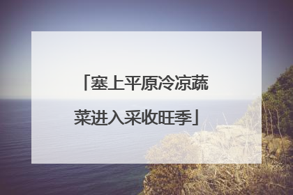 塞上平原冷凉蔬菜进入采收旺季