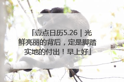 壹点日历5.26｜光鲜亮丽的背后，定是脚踏实地的付出！早上好