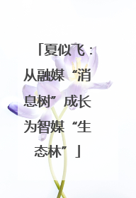 夏似飞：从融媒“消息树”成长为智媒“生态林”