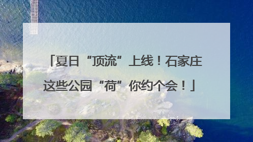夏日“顶流”上线！石家庄这些公园“荷”你约个会！