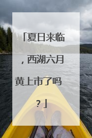 夏日来临，西湖六月黄上市了吗？