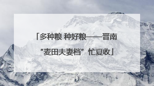 多种粮 种好粮——晋南“麦田夫妻档”忙夏收