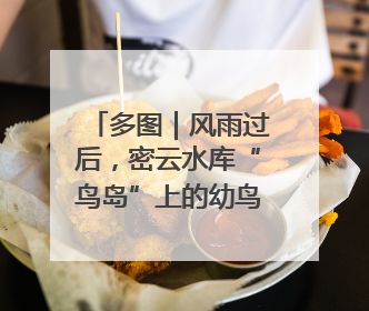 多图｜风雨过后，密云水库“鸟岛”上的幼鸟还好吗？