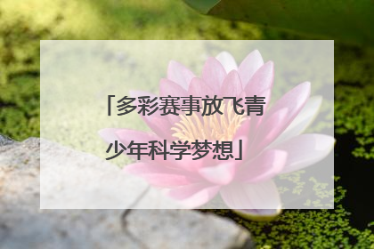 多彩赛事放飞青少年科学梦想