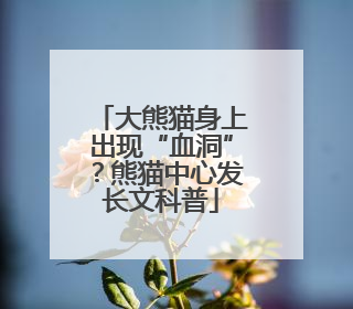大熊猫身上出现“血洞”？熊猫中心发长文科普