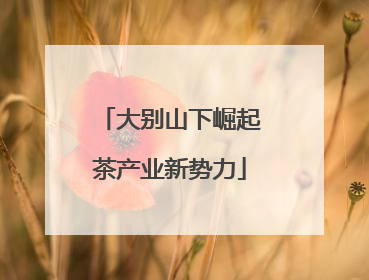 大别山下崛起茶产业新势力
