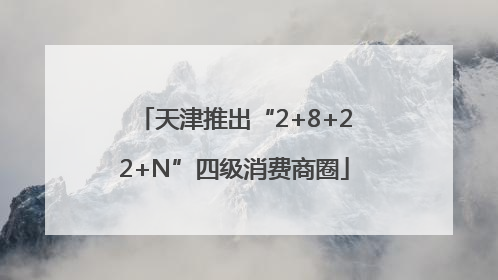 天津推出“2+8+22+N”四级消费商圈