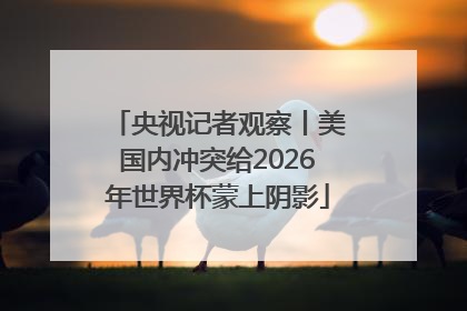 央视记者观察丨美国内冲突给2026年世界杯蒙上阴影