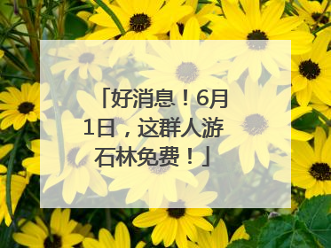 好消息！6月1日，这群人游石林免费！