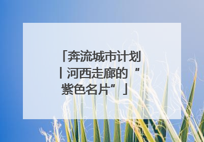 奔流城市计划丨河西走廊的“紫色名片”