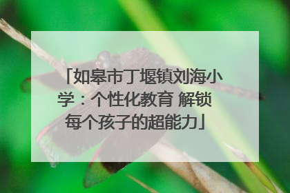 如皋市丁堰镇刘海小学：个性化教育 解锁每个孩子的超能力
