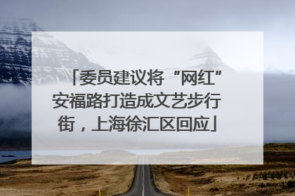 委员建议将“网红”安福路打造成文艺步行街，上海徐汇区回应