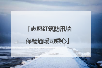 志愿红筑防汛墙 保畅通暖司乘心