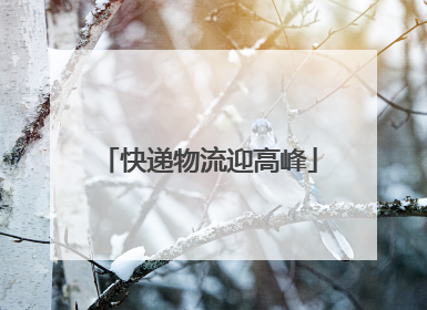 快递物流迎高峰