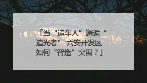 当“造车人”邂逅“追光者” 六安开发区如何“智造”突围？