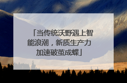 当传统沃野遇上智能浪潮，新质生产力加速破茧成蝶