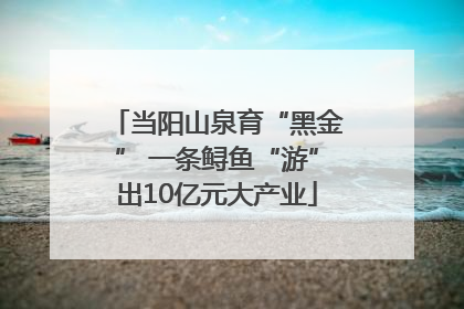 当阳山泉育“黑金” 一条鲟鱼“游”出10亿元大产业