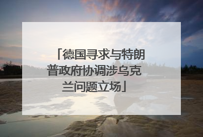 德国寻求与特朗普政府协调涉乌克兰问题立场