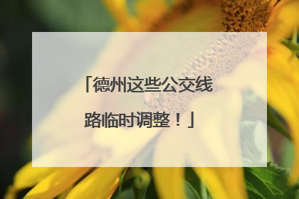 德州这些公交线路临时调整！