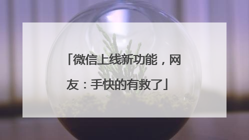 微信上线新功能，网友：手快的有救了
