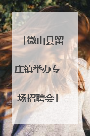 微山县留庄镇举办专场招聘会