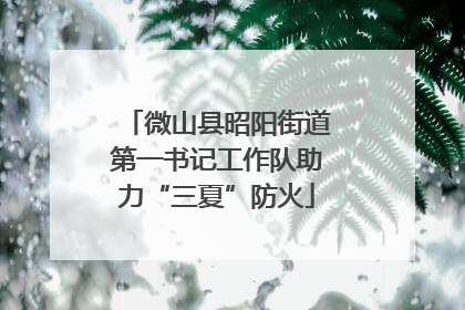 微山县昭阳街道第一书记工作队助力“三夏”防火