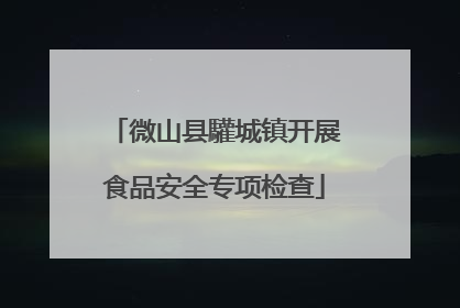 微山县驩城镇开展食品安全专项检查