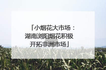 小烟花大市场：湖南浏阳烟花积极开拓非洲市场