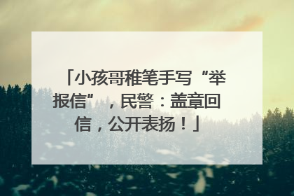 小孩哥稚笔手写“举报信”，民警：盖章回信，公开表扬！