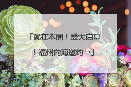 就在本周！盛大启幕！福州向海邀约→
