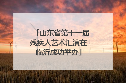 山东省第十一届残疾人艺术汇演在临沂成功举办