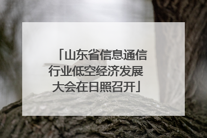 山东省信息通信行业低空经济发展大会在日照召开
