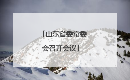 山东省委常委会召开会议