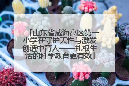 山东省威海高区第一小学在守护天性与激发创造中育人——扎根生活的科学教育更有效