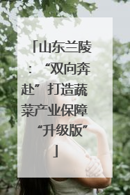 山东兰陵：“双向奔赴”打造蔬菜产业保障“升级版”