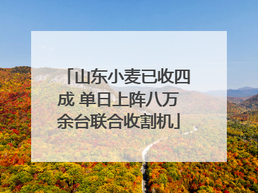 山东小麦已收四成 单日上阵八万余台联合收割机